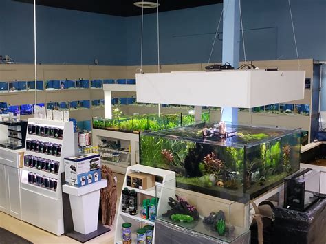 Blue Reef Aquatics Tropical Fish – Not just your local fish .